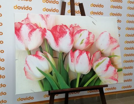 STAMPA SU TELA – TULIPANI PRIMAVERILI - QUADRI DI FIORI - STAMPE E QUADRI