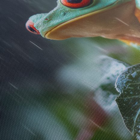 WANDBILD BUNTER FROSCH IM TROPENREGEN - BILDER TIERE - BILDER
