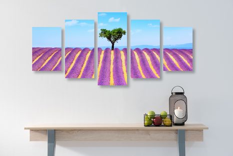 5-CZĘŚCIOWY OBRAZ POLE LAWENDY PROWANSALSKIEJ - OBRAZY PRZYRODY I KRAJOBRAZY - OBRAZY
