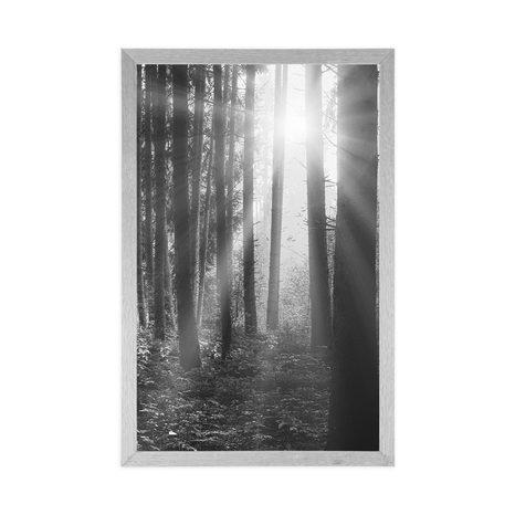 PLAKÁT VÝCHOD SLUNCE V LESE V ČERNOBÍLÉM PROVEDENÍ - ČERNOBÍLÉ - PLAKÁTY