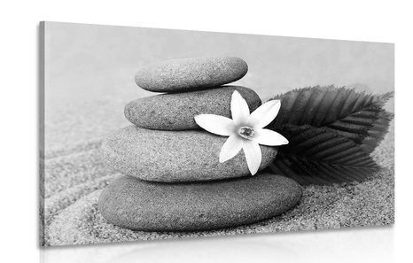 CANVAS PRINT FLOWER AND STONES IN THE SAND IN BLACK AND WHITE - BLACK AND WHITE PICTURES - PICTURES