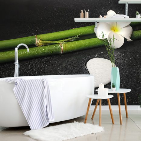 WALL MURAL STILL LIFE WITH YIN AND YANG SYMBOL - WALLPAPERS FENG SHUI - WALLPAPERS