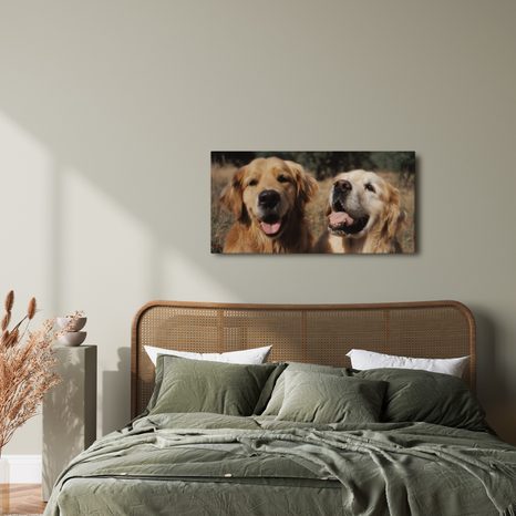 OBRAZ ZLATO V SRSTI PSŮ - OBRAZY PSI - OBRAZY