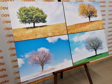 OBRAZ STROM V ROČNÝCH OBDOBIACH - OBRAZY PRÍRODY A KRAJINY - OBRAZY