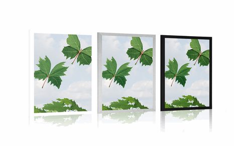 POSZTER LEVELEK A SZÉLBEN - TERMÉSZETKÉPES - POSZTEREK