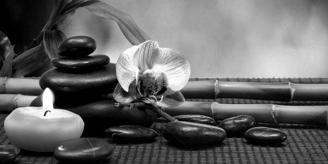 QUADRO SU TELA – NATURA MORTA FENG SHUI IN BIANCO E NERO - QUADRI BIANCO E NERO - STAMPE E QUADRI