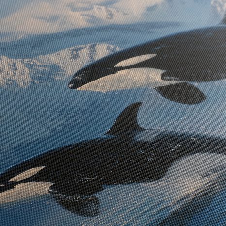 OBRAZ MAJESTÁTNÍ KOSATKY A HORY - OBRAZY MOŘŠTÍ ŽIVOČICHOVÉ - OBRAZY