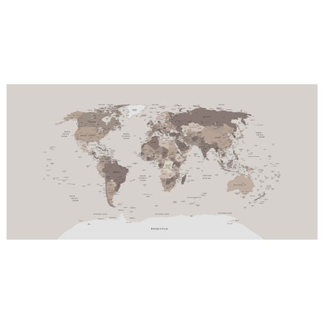 OBRAZ NA KORKU MAPA SVĚTA V BÉŽOVÉ - PICTURES ON CORK - PICTURES