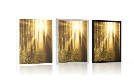 PLAKAT SONČNI VZHOD V GOZDU - NARAVA - PLAKATI