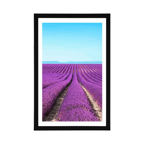 AFFICHE – CHAMP DE LAVANDE INFINI - NATURE - AFFICHES