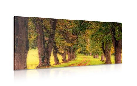 TABLEAU SUR TOILE – CHEMIN DANS LA FORÊT D'AUTOMNE - TABLEAUX DE LA NATURE ET DES PAYSAGES - TABLEAUX