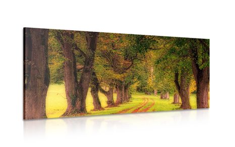 CANVAS PRINT TRAIL THROUGH THE AUTUMN FOREST - PICTURES OF NATURE AND LANDSCAPE - PICTURES