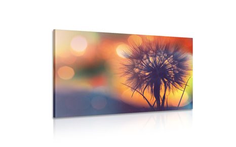 КАРТИНА НА ПЛАТНО – СИЯЕЩО ГЛУХАРЧЕ - КАРТИНИ С ЦВЕТЯ - КАРТИНИ