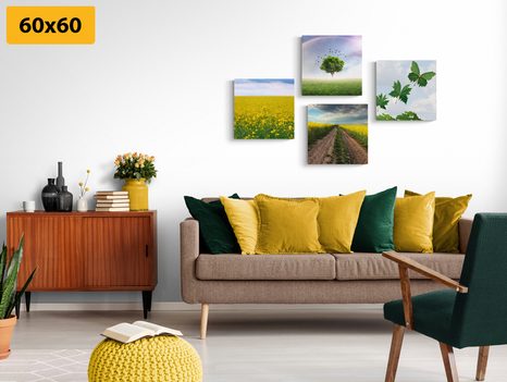 BILDER-SET SCHILLERNDE NATUR - BILDERSETS - BILDER