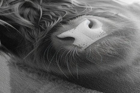 WANDBILD KUH IM BADEMANTEL - WANDBILDER BÜFFEL UND KÜHE - BILDER