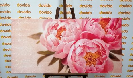 ΛΕΠΤΟΜΈΡΕΙΑ ΕΙΚΌΝΑΣ ΒΟΎΔΑΣ - ΠΊΝΑΚΕΣ VINTAGE ΈΝΑ ΡΕΤΡΌ - ΠΊΝΑΚΕΣ