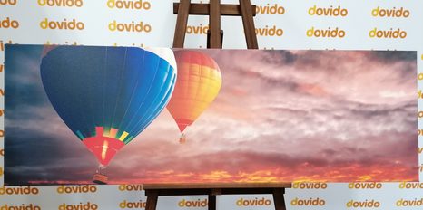 ΕΙΚΌΝΑ ΜΠΑΛΟΝΙΏΝ ΠΟΥ ΠΕΤΟΎΝ ΠΆΝΩ ΑΠΌ ΤΑ ΒΟΥΝΆ - ΠΊΝΑΚΕΣ ΝΕΚΡΉΣ ΦΎΣΗΣ - ΠΊΝΑΚΕΣ