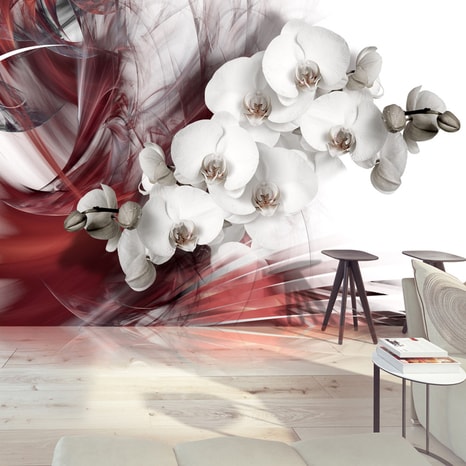 FOTO TAPETA - ORCHID IN RED