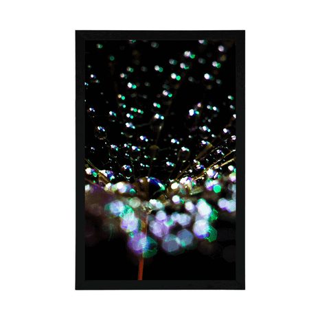 POSTER WASSERTROPFEN AUF DEM LÖWENZAHN - BLUMEN - POSTER