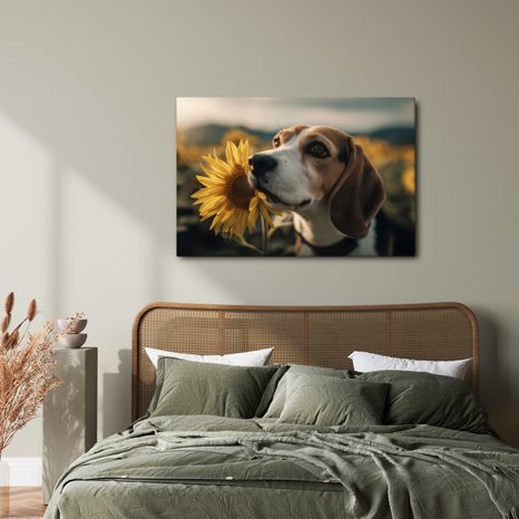 WANDBILD HUND UND SONNENBLUMEN IM FELD - BILDER VON HUNDEN - BILDER