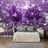 Photo wallpaper purple lily