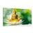 Picture of golden buddha on lotus flower