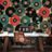 SELBSTKLEBENDE TAPETE RETRO SCHALLPLATTEN IN FARBEN - MUSIK FOTOTAPETEN - TAPETEN