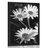 POSTER – MARGHERITE NEL GIARDINO IN BIANCO E NERO - NERO E BIANCO - POSTER