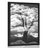 POSTER BLACK AND WHITE TREE COVERED IN CLOUDS - BLACK AND WHITE - POSTERS