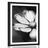 POSTER WITH MOUNT GARDEN COSMOS FLOWER IN BLACK AND WHITE - BLACK AND WHITE - POSTERS