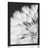 POSTER DANDELION IN BLACK AND WHITE - BLACK AND WHITE - POSTERS