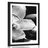 POSTER WITH MOUNT EXOTIC ORCHID IN BLACK AND WHITE - BLACK AND WHITE - POSTERS