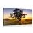 TABLEAU SUR TOILE – ARBRE SOLITAIRE AU COUCHER DU SOLEIL - TABLEAUX DE LA NATURE ET DES PAYSAGES - TABLEAUX