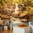 Photo wallpaper Sunny Waterfall
