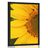 Poster floarea soarelui galbenă