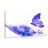 Quadro farfalla con piuma con un design viola