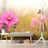 SELF ADHESIVE WALL MURAL BLOOMING PINK FLOWER - SELF-ADHESIVE WALLPAPERS - WALLPAPERS