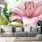 WALL MURAL PINK LILY IN BLOOM - WALLPAPERS FLOWERS - WALLPAPERS