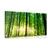 CANVAS PRINT LUSH GREEN FOREST - PICTURES OF NATURE AND LANDSCAPE - PICTURES