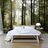 Self adhesive wallpaper charming morning in the woods