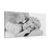 CANVAS PRINT BLACK AND WHITE SLEEPING ANGEL - BLACK AND WHITE PICTURES - PICTURES