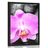 POSTER WUNDERSCHÖNE ORCHIDEE UND STEINE - FENG SHUI - POSTER