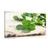 CANVAS PRINT OF GREEN FOUR-LEAF CLOVERS - STILL LIFE PICTURES - PICTURES