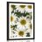 POSTER WITH MOUNT MEDICINAL CHAMOMILE FLOWERS - FLOWERS - POSTERS