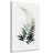 CANVAS PRINT FERN LEAF WITH A TOUCH OF MINIMALISM - PICTURES OF TREES AND LEAVES - PICTURES