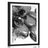 POSTER WITH MOUNT BLOOMING ORCHID AND WELLNESS STONES IN BLACK AND WHITE - BLACK AND WHITE - POSTERS