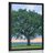 POSTER LONELY OAK - NATURE - POSTERS