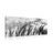 CANVAS PRINT GRASS IN BLACK AND WHITE - BLACK AND WHITE PICTURES - PICTURES