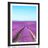 POSTER – CAMPO DI LAVANDA INFINITO - NATURA - POSTER