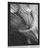 POSTER BEAUTIFUL DANDELION IN BLACK AND WHITE - BLACK AND WHITE - POSTERS